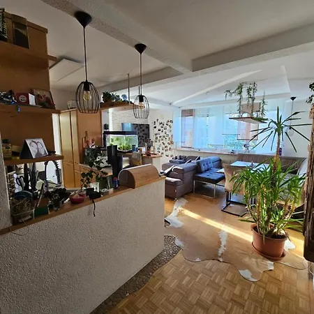 Maxi's Проживание в семье