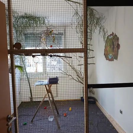 Maxi's Проживание в семье Мархтренк