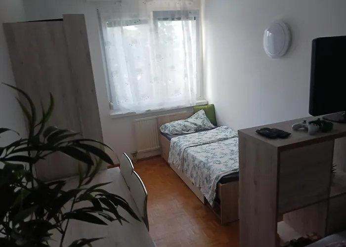 Проживание в семье Maxi's *