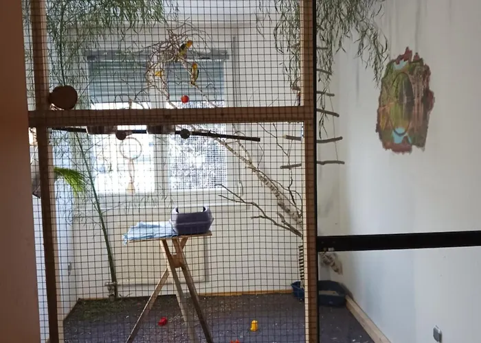 Maxi's Проживание в семье Мархтренк